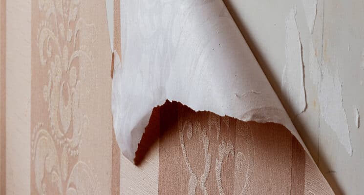 wallpaper removal